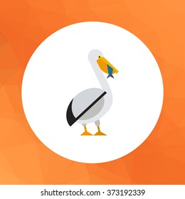 Pelican and fish
