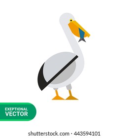 Pelican and fish