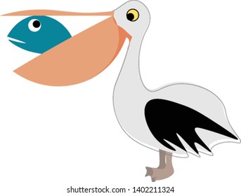 Pelican with fish in the beak, illustration, vector on white background.