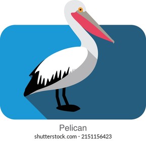 Diseño de icono plano pelicano, serie de aves