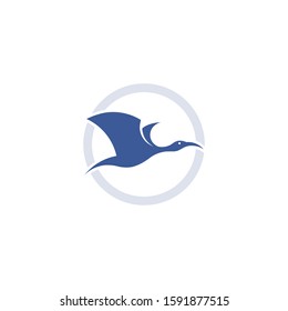 Pelican flying inside the circle