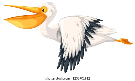 A pelican flying on white background illustration