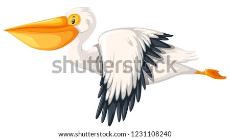 Similar – Image, Stock Photo flying Birds on the ice lake