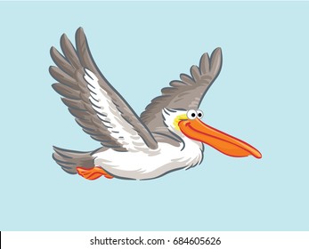 Pelican genus bird 