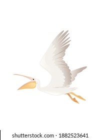 Pelican genus large water bird cartoon animal design big white bird flying with orange open beak flat vector illustration isolated on white background