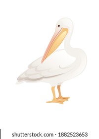 Pelican genus large water bird cartoon animal design big white bird with orange beak flat vector illustration isolated on white background