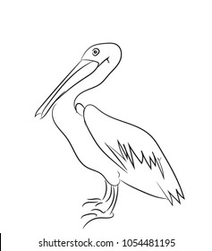 pelican graphic line, vector, white background