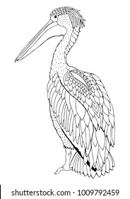 Pelican. Hand drawn bird. Sketch for anti-stress adult coloring book in zen-tangle style. Vector illustration  for coloring page, isolated on white background. Template for poster or t-shirt