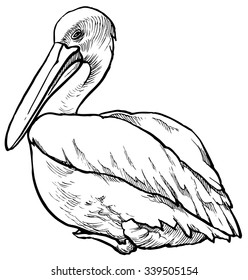 Pelican Line Drawing Images Stock Photos Vectors Shutterstock Pelican art birds tattoo small tattoos art pelican tattoo drawing illustrations tattoos drawings pelican drawing. https www shutterstock com image vector pelican hand drawn vector illustration isolated 339505154