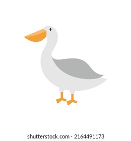 pelican icon design template vector illustration