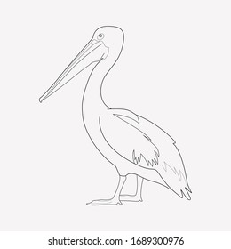 Pelican icon line element. Vector illustration of pelican icon line isolated on clean background for your web mobile app logo design.