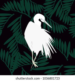 pelican - illustration