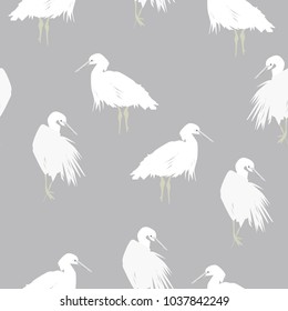 pelican - illustration