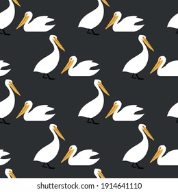 Pelican. Illustration with a bird. Seamless vector pattern.