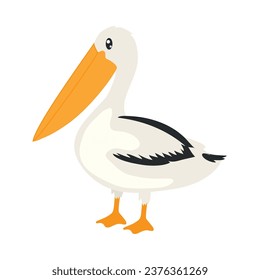 pelican illustration design vector isolated