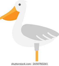 Pelican illustration isolated on white background