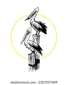 Pelican Illustration. Vektorgrafik. Design für Logo, Druck für T-Shirt, Etiketten