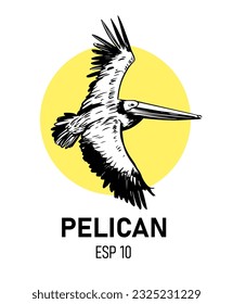 Pelican illustration. Vector sketch. Design for logo, print for t-shirt, labels