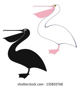 Pelican. Isolated birds on white background