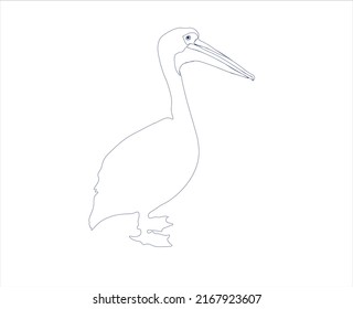 Pelican isolated on white background. A simple drawing of a tropical bird. Side view. vector flat design eps 10
