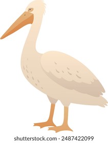 Pelican isolated vector illustration. Water bird color clip art.