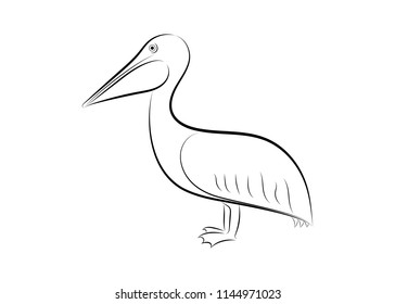 pelican line drawing on white background, design for decorative icon,  Vector illustration