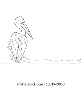 pelican line stock vector illustration