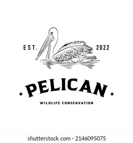 Pelican logo, company logo design idea, vector illustration