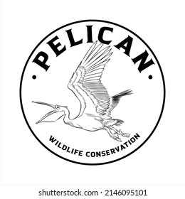 Pelican logo, company logo design idea, vector illustration