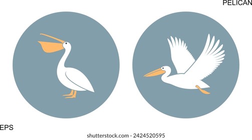 Pelican logo. Isolated pelican on white background