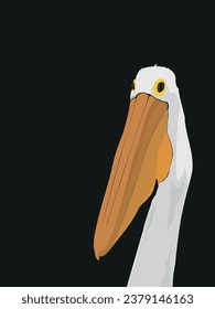 Pelican on black background. Bird Head Portrait. Animal Vector Illustration Image