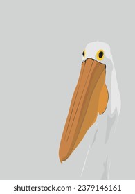  Pelican on grey background. Bird Head Portrait Animal Vector Illustration Image
