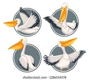 A pelican on sticker template illustration