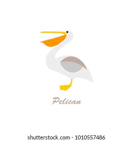 Pelican on a white background. vector illustration