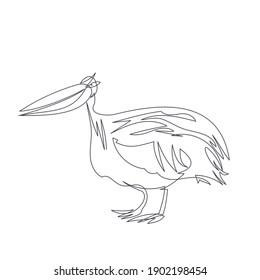 pelican one line vector illustration