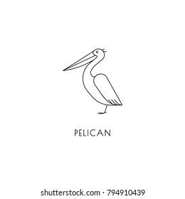 Pelican outline icon