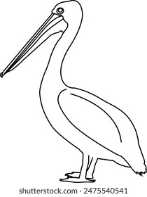 Pelican outline icon. Sea Bird Vector line illustration for coloring book
