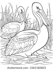 Pelican river coloring pages line art