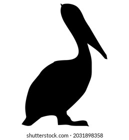 Pelican, sea bird, animal, carnivore, wildlife, vector, illustration, in black and white color, isolated on white background 