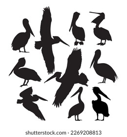 Pelican set silhouette objects, stencil templates and decals