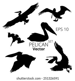 Pelican set of silhouettes, vector, eps 10