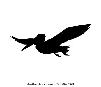 Pelican silhouette, black icon flat vector illustration isolated on white background. Flying pelican shape. Tropical animals drawing. Concepts of wildlife and seabirds.