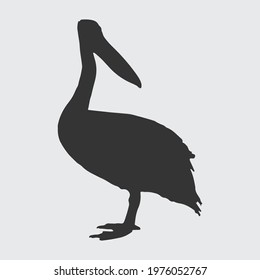 pelican silhouette, a black silhouette on white background. Vector