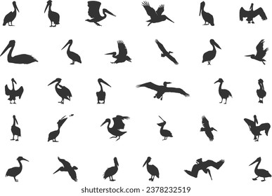 Pelican Silhouette, Brown Pelican Silhouette,Pelican Silhouettes, Bird Silhouettes, Pelican Vector