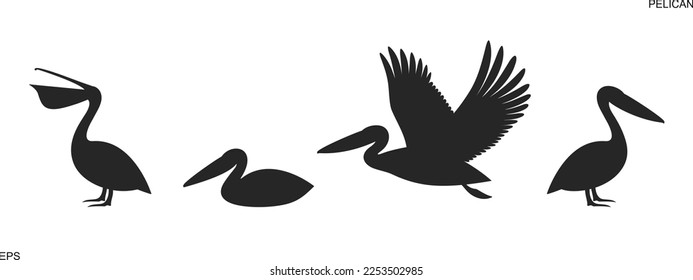 Pelican silhouette. Isolated pelican on white background