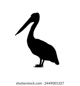 pelican silhouette isolated	 - vector illustration