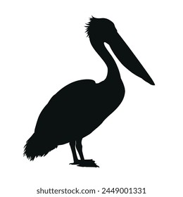 pelican silhouette isolated	 - vector illustration