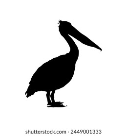 pelican silhouette isolated	 - vector illustration