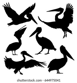 Pelican silhouette set. Vector illustration