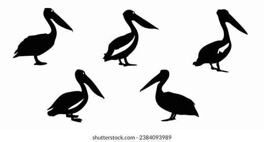 Pelican silhouettes set. Pelican icons. Vector illustration